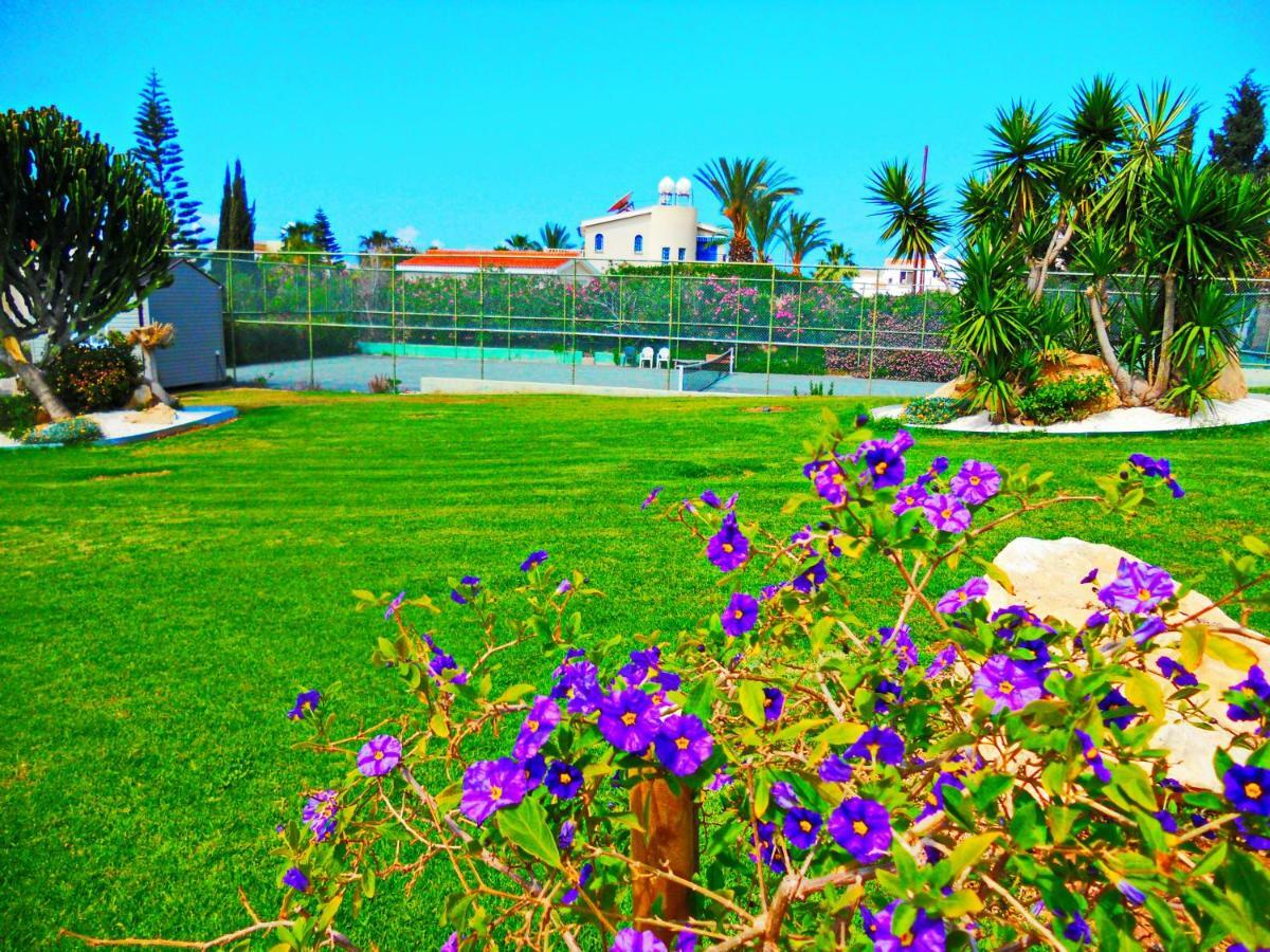 Coral Bay Suite Cyprus المظهر الخارجي الصورة